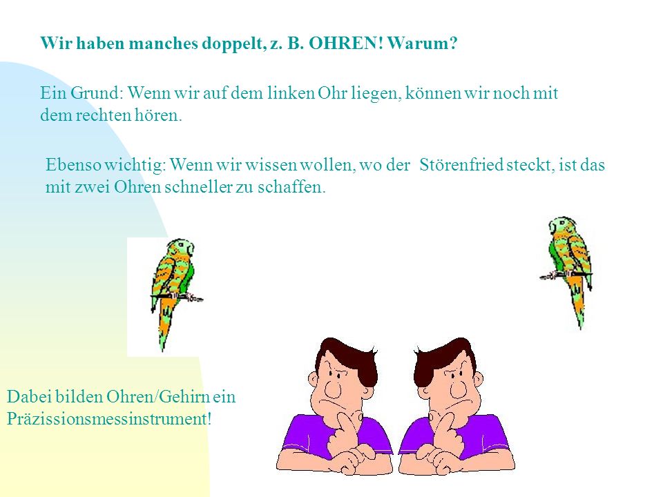 Wir haben manches doppelt, z. B. OHREN! Warum