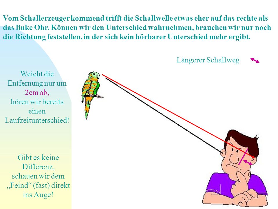 Vom Schallerzeuger kommend trifft die Schallwelle etwas eher auf das rechte als das linke Ohr. Können wir den Unterschied wahrnehmen, brauchen wir nur noch die Richtung feststellen, in der sich kein hörbarer Unterschied mehr ergibt.