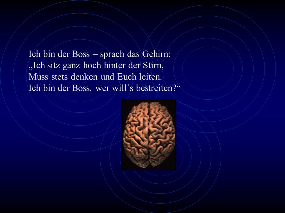 Ich bin der Boss – sprach das Gehirn: