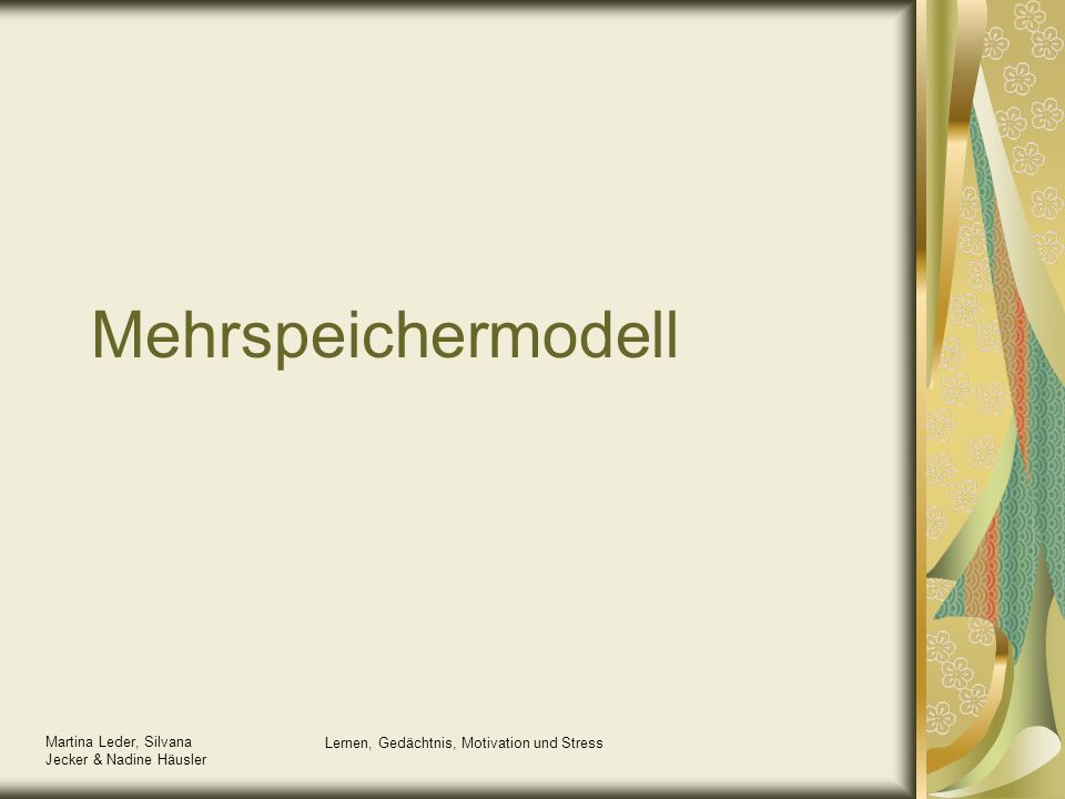 Lernen, Gedächtnis, Motivation und Stress