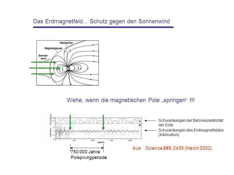 Das Erdmagnetfeld... Schutz gegen den Sonnenwind