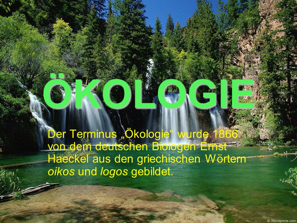 ÖKOLOGIE Der Terminus „Ökologie wurde 1866 von dem deutschen Biologen Ernst Haeckel aus den griechischen Wörtern oikos und logos gebildet.