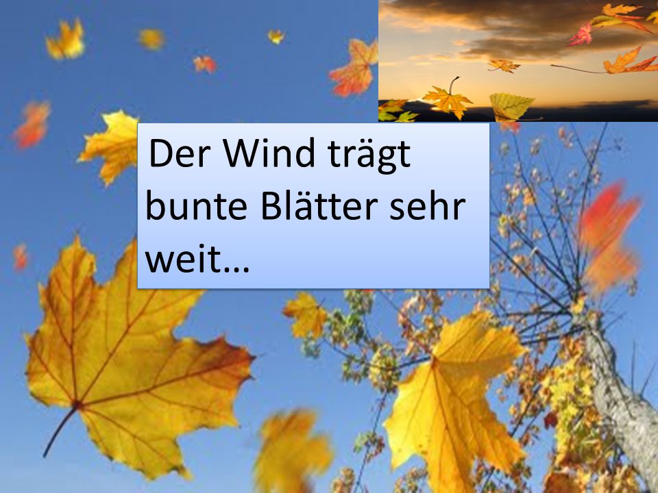 Der Wind trägt bunte Blätter sehr weit…