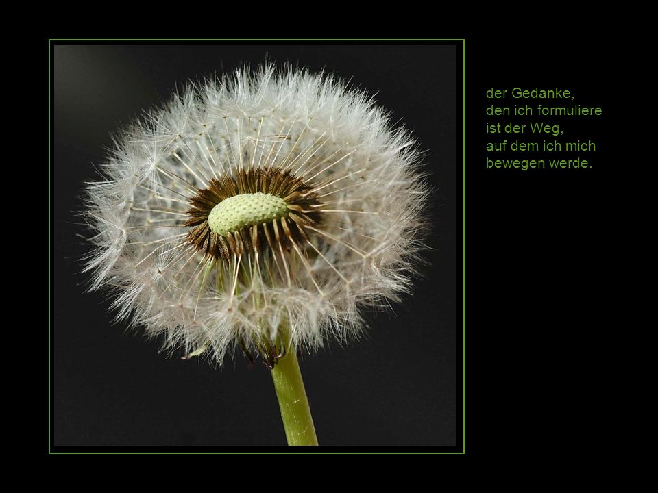 der Gedanke, den ich formuliere ist der Weg, auf dem ich mich bewegen werde.