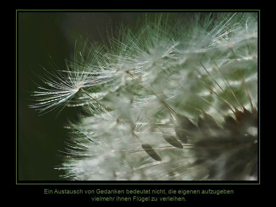 Ein Austausch von Gedanken bedeutet nicht, die eigenen aufzugeben vielmehr ihnen Flügel zu verleihen.