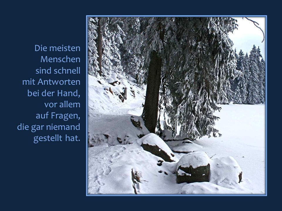 Die meisten Menschen. sind schnell. mit Antworten. bei der Hand, vor allem. auf Fragen, die gar niemand.