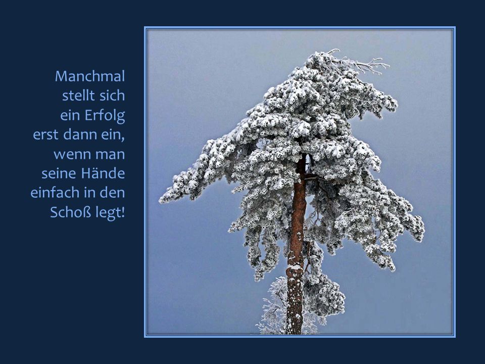 Manchmal stellt sich ein Erfolg erst dann ein, wenn man seine Hände einfach in den Schoß legt!