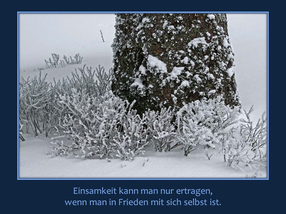 Einsamkeit kann man nur ertragen, wenn man in Frieden mit sich selbst ist.