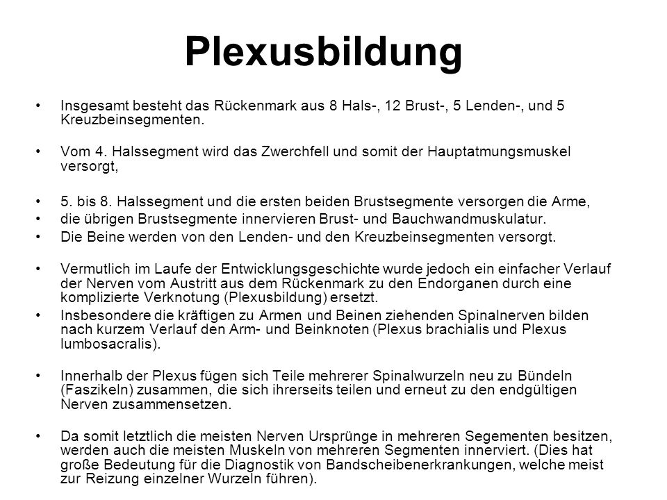 Plexusbildung Insgesamt besteht das Rückenmark aus 8 Hals-, 12 Brust-, 5 Lenden-, und 5 Kreuzbeinsegmenten.