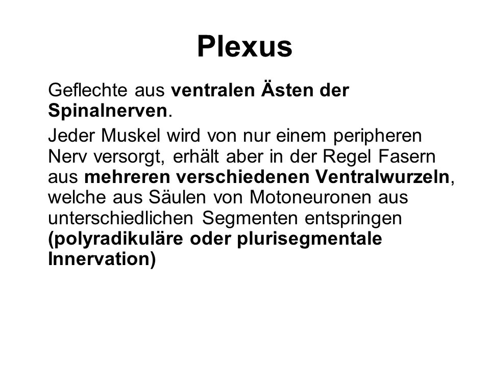 Plexus Geflechte aus ventralen Ästen der Spinalnerven.