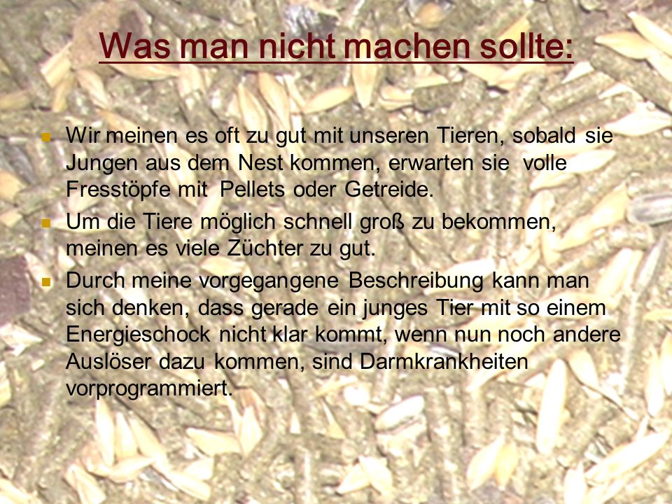 Was man nicht machen sollte: