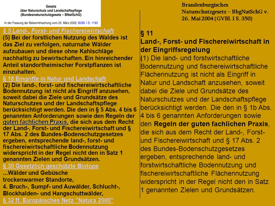 § 11 Land-, Forst- und Fischereiwirtschaft in der Eingriffsregelung