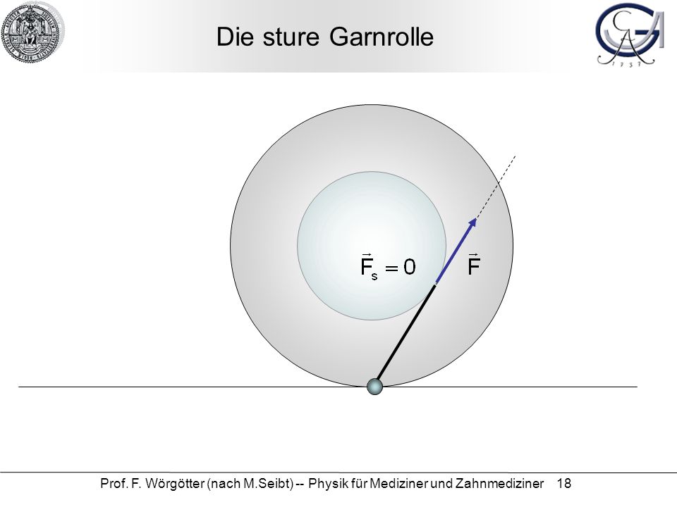 Die sture Garnrolle Prof. F.