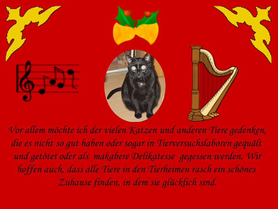 Vor allem möchte ich der vielen Katzen und anderen Tiere gedenken,