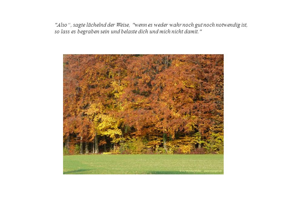 Also , sagte lächelnd der Weise, wenn es weder wahr noch gut noch notwendig ist,