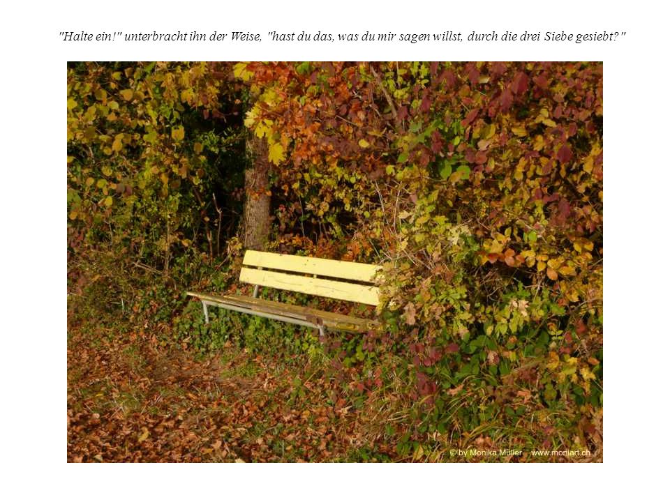 Halte ein! unterbracht ihn der Weise, hast du das, was du mir sagen willst, durch die drei Siebe gesiebt