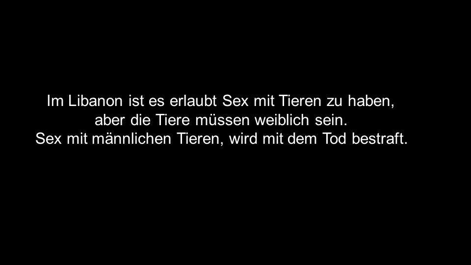 Im Libanon ist es erlaubt Sex mit Tieren zu haben,