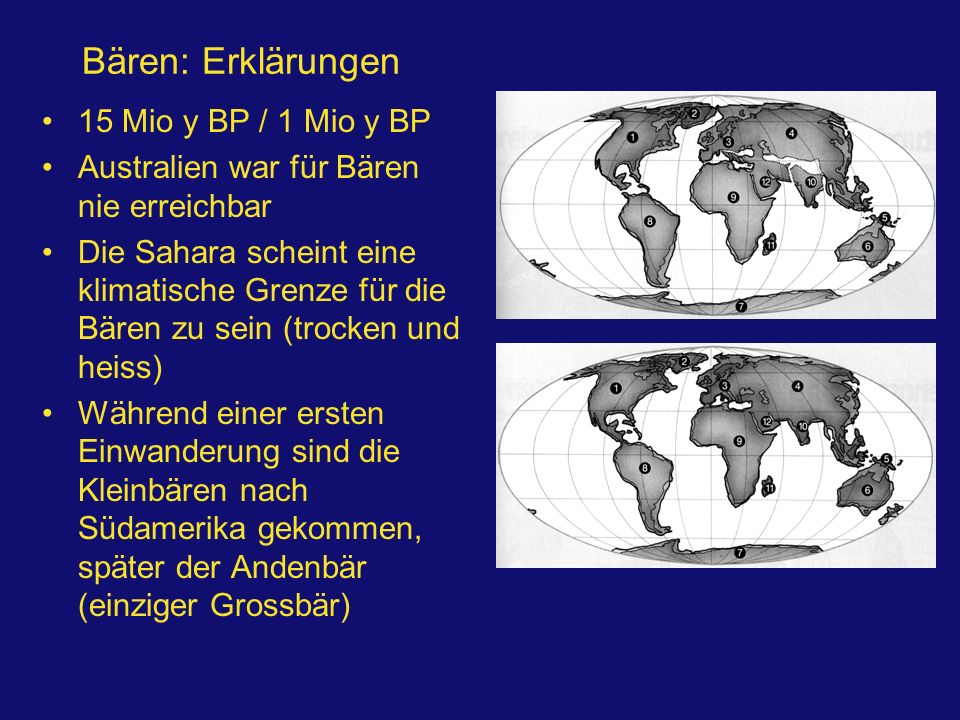 Bären: Erklärungen 15 Mio y BP / 1 Mio y BP