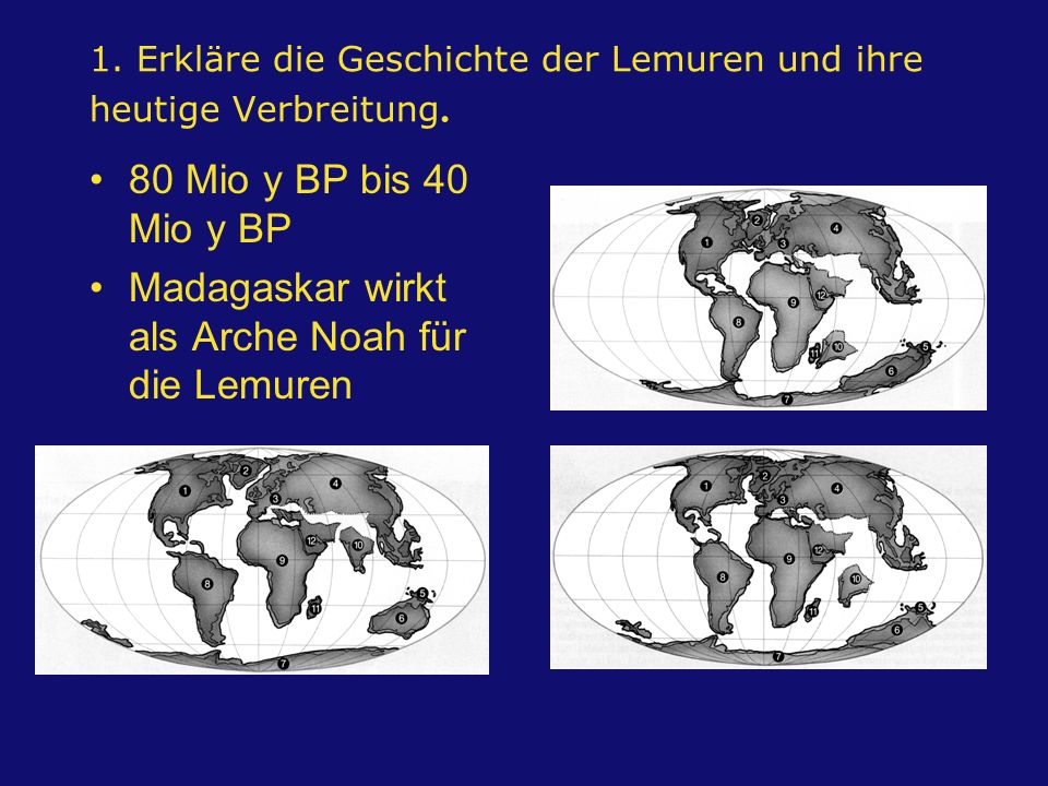 1. Erkläre die Geschichte der Lemuren und ihre heutige Verbreitung.