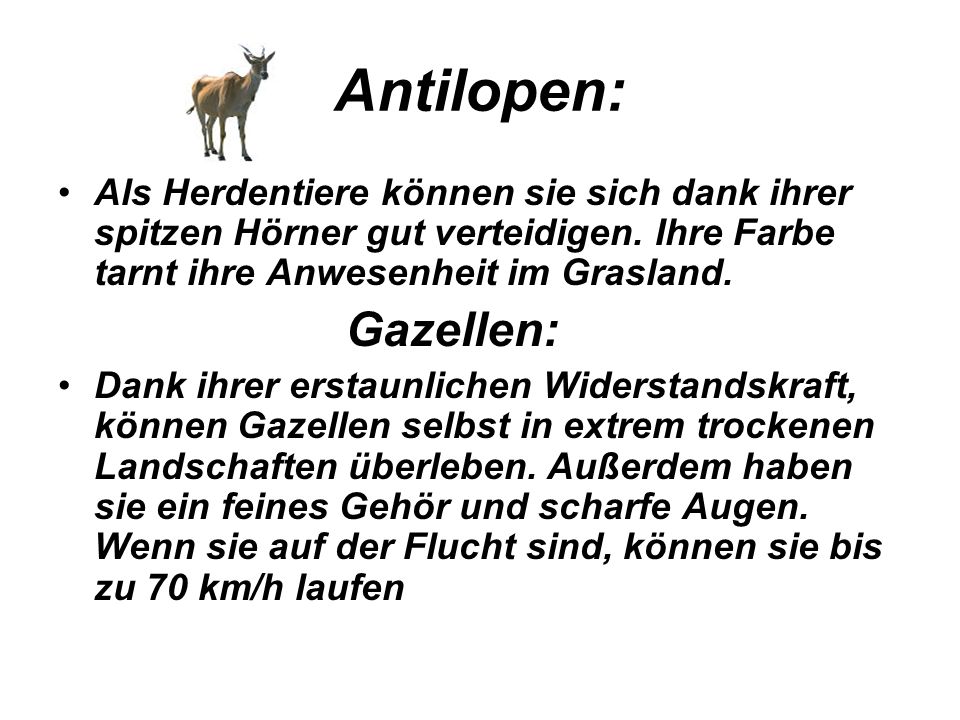 Antilopen: Als Herdentiere können sie sich dank ihrer spitzen Hörner gut verteidigen. Ihre Farbe tarnt ihre Anwesenheit im Grasland.