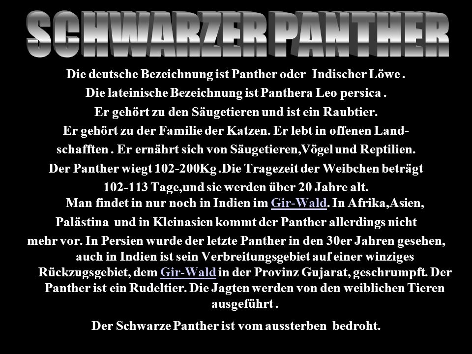 SCHWARZER PANTHER Die deutsche Bezeichnung ist Panther oder Indischer Löwe . Die lateinische Bezeichnung ist Panthera Leo persica .