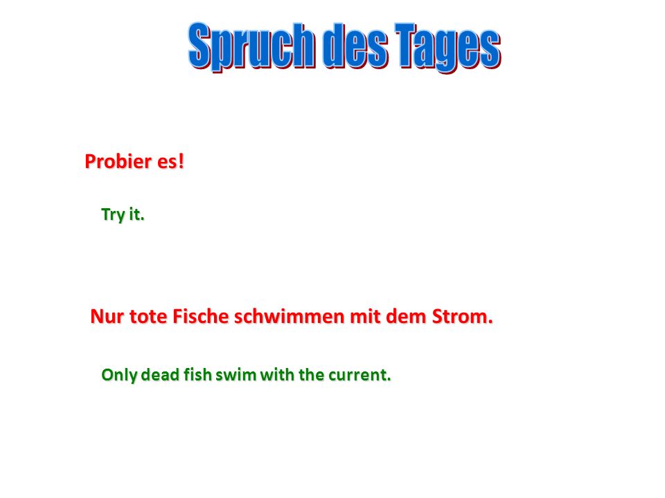 Spruch des Tages Probier es! Nur tote Fische schwimmen mit dem Strom.