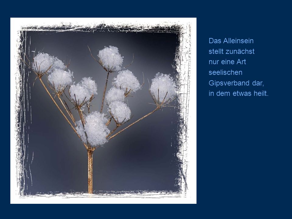 Das Alleinsein stellt zunächst nur eine Art seelischen Gipsverband dar, in dem etwas heilt.
