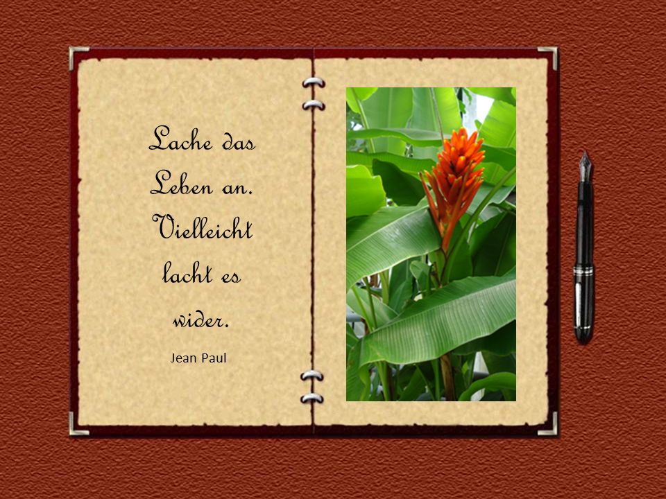 Lache das Leben an. Vielleicht lacht es wider. Jean Paul Jean Paul