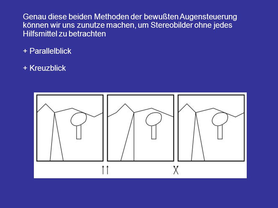 Genau diese beiden Methoden der bewußten Augensteuerung können wir uns zunutze machen, um Stereobilder ohne jedes Hilfsmittel zu betrachten