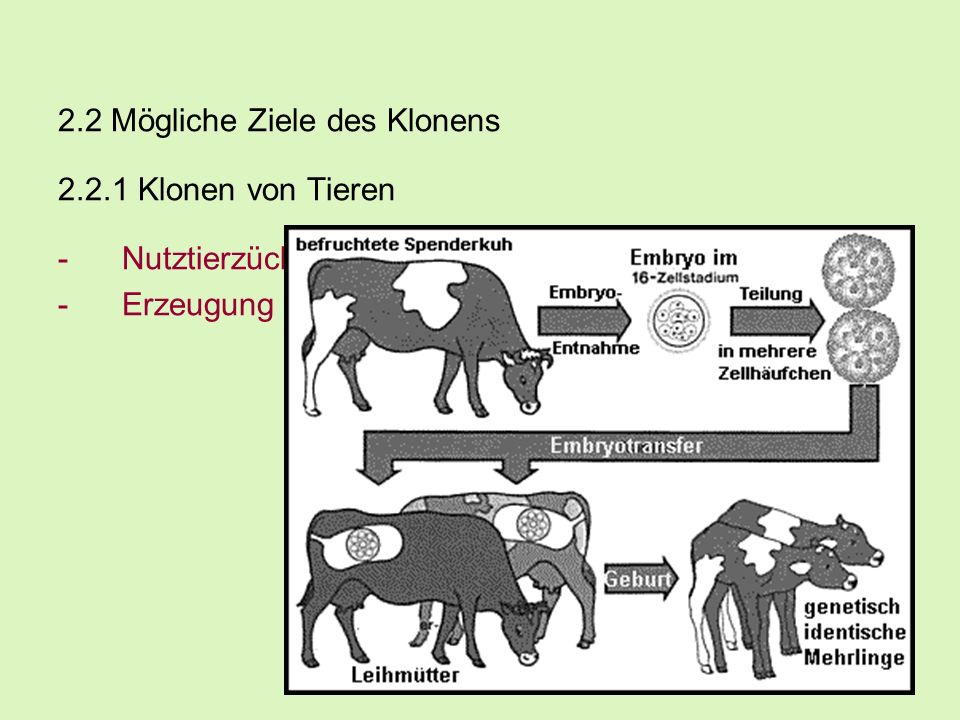 2.2 Mögliche Ziele des Klonens