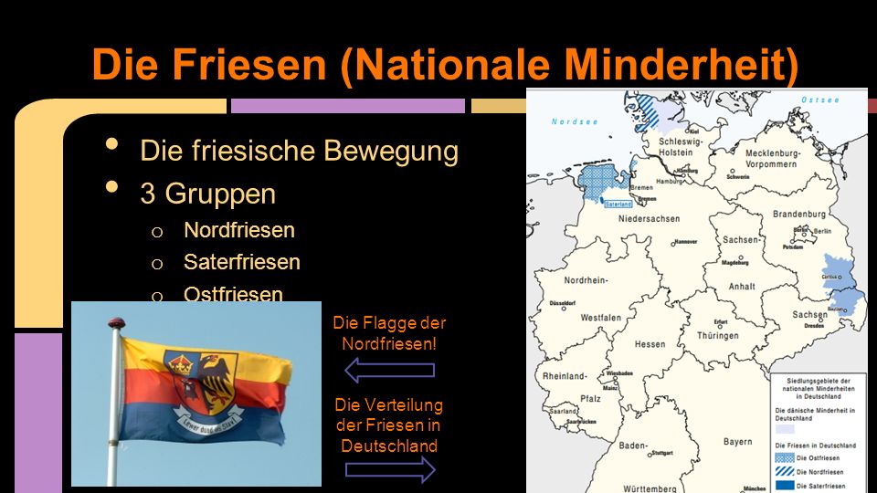 Die Friesen (Nationale Minderheit)