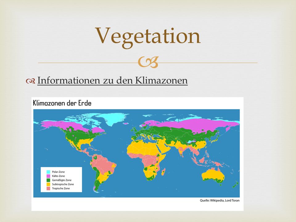 Vegetation Informationen zu den Klimazonen