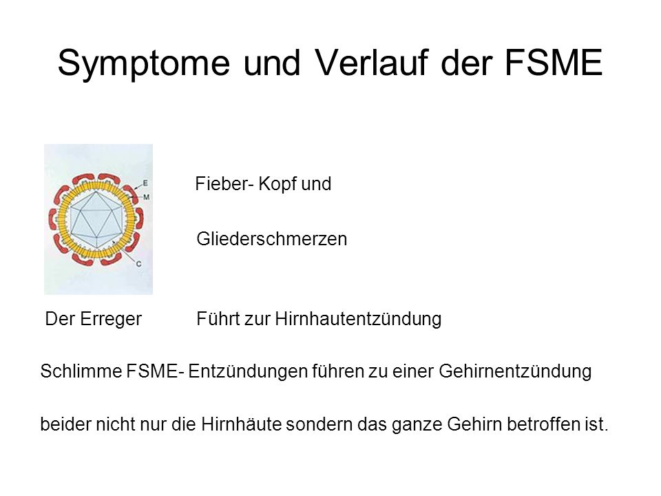 Symptome und Verlauf der FSME