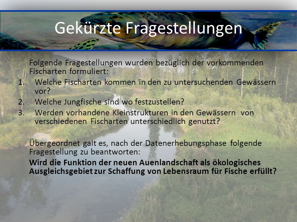 Gekürzte Fragestellungen