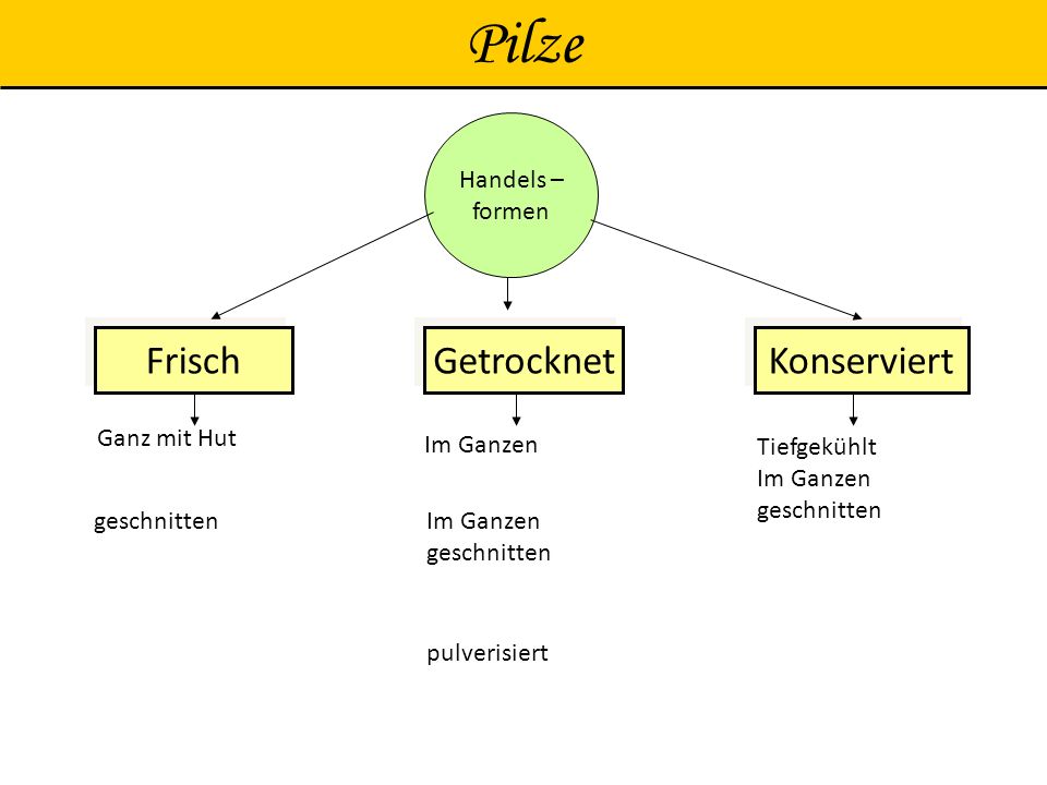 Pilze Frisch Konserviert Getrocknet Handels – formen Ganz mit Hut