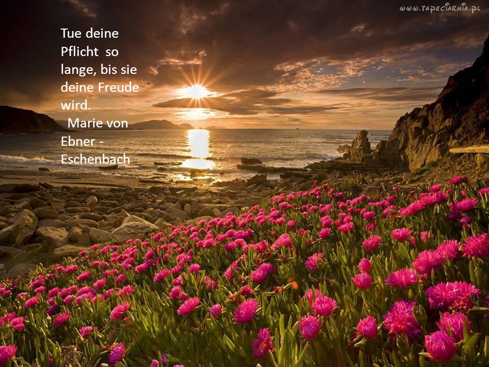 Tue deine Pflicht so lange, bis sie deine Freude wird.