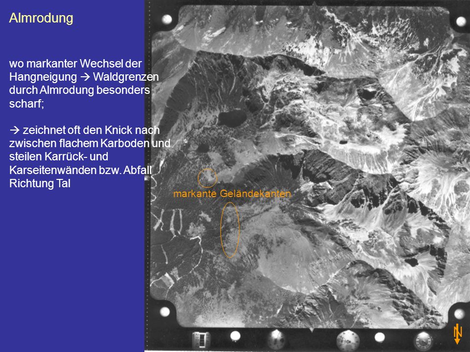 Almrodung wo markanter Wechsel der Hangneigung  Waldgrenzen durch Almrodung besonders scharf;