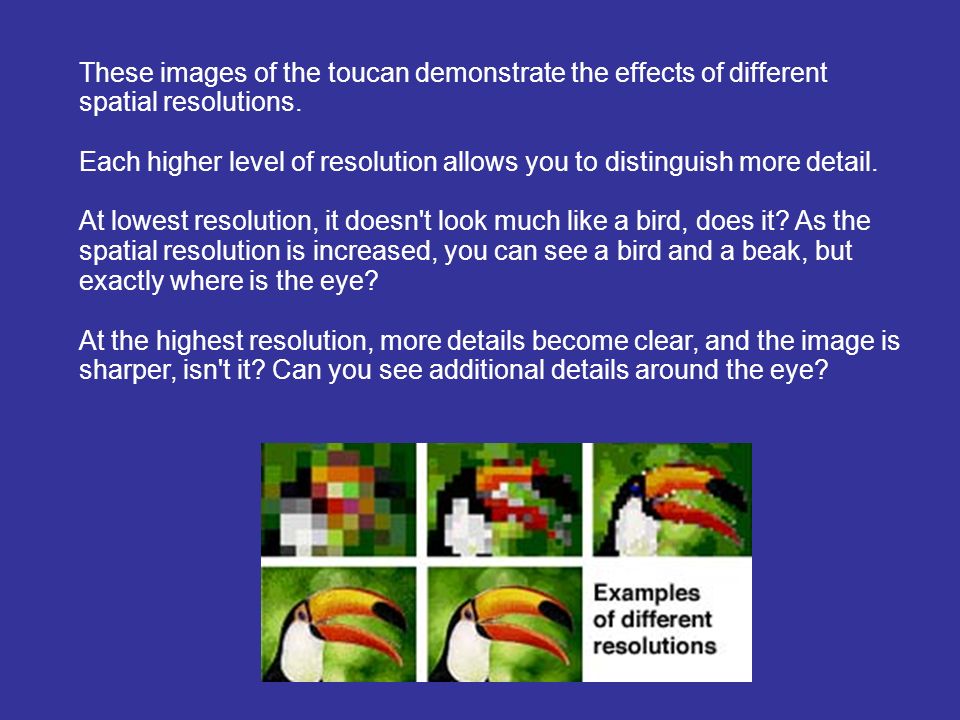 These images of the toucan demonstrate the effects of different spatial resolutions.