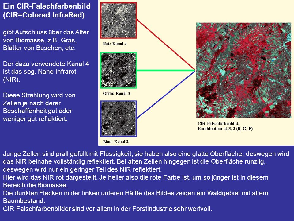Ein CIR-Falschfarbenbild (CIR=Colored InfraRed)