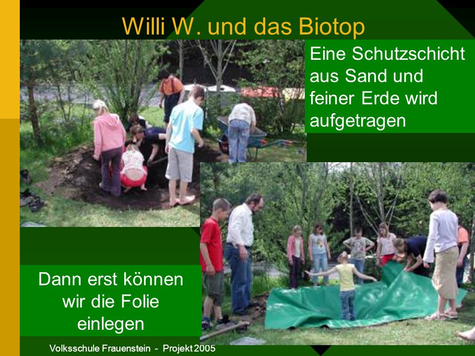 Willi W. und das Biotop Eine Schutzschicht aus Sand und feiner Erde wird aufgetragen. Dann erst können wir die Folie einlegen.