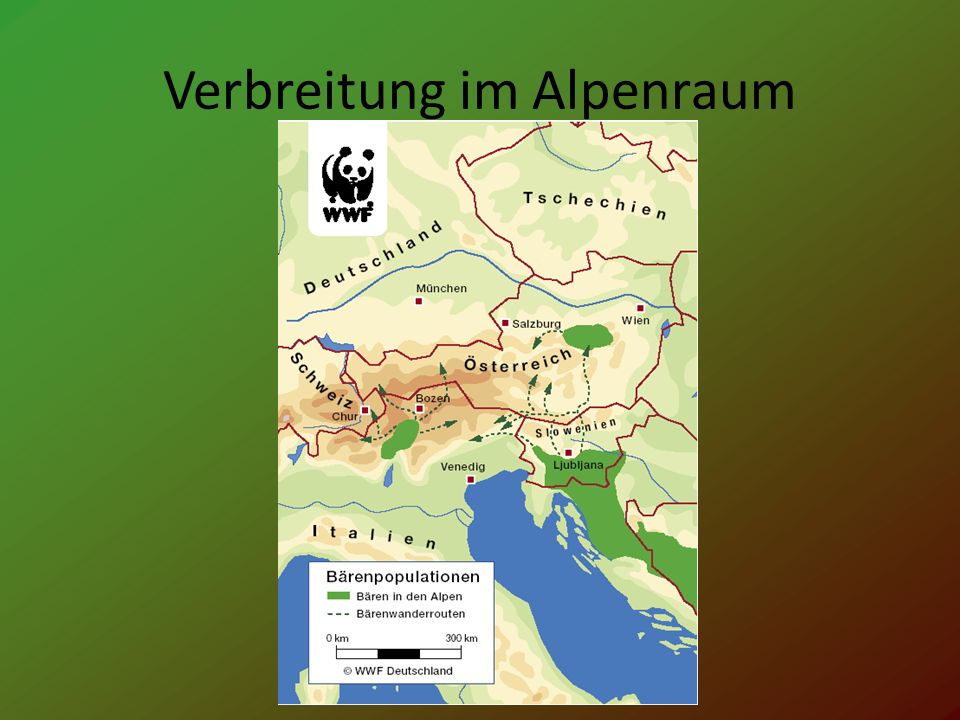Verbreitung im Alpenraum