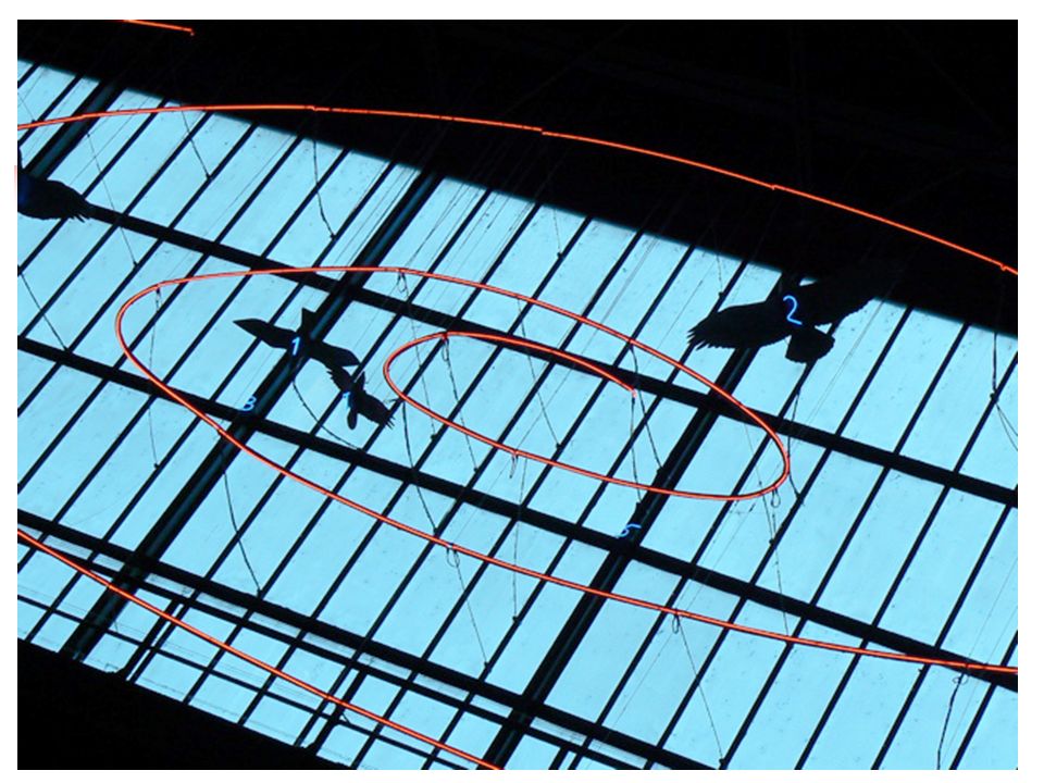 Fibonacci-Zahlen F0 := 0 F1 := 1 Fn := Fn-1 + Fn-2 , n > 1