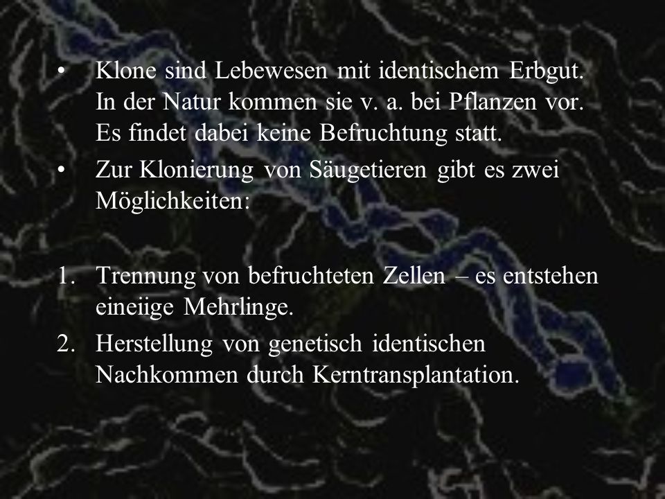 Klone sind Lebewesen mit identischem Erbgut. In der Natur kommen sie v
