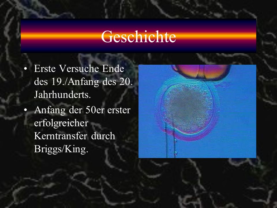 Geschichte Erste Versuche Ende des 19./Anfang des 20. Jahrhunderts.