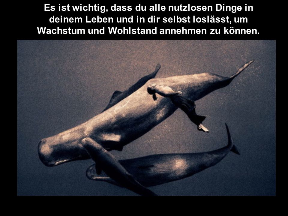 Es ist wichtig, dass du alle nutzlosen Dinge in deinem Leben und in dir selbst loslässt, um Wachstum und Wohlstand annehmen zu können.