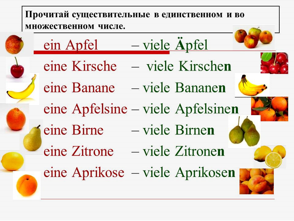 Имена существительные овощи. Множественное число существительных в немецком языке. Множественное число в немецком языке. Артикль множественного числа в немецком. Существительное множественного числа в немецком.