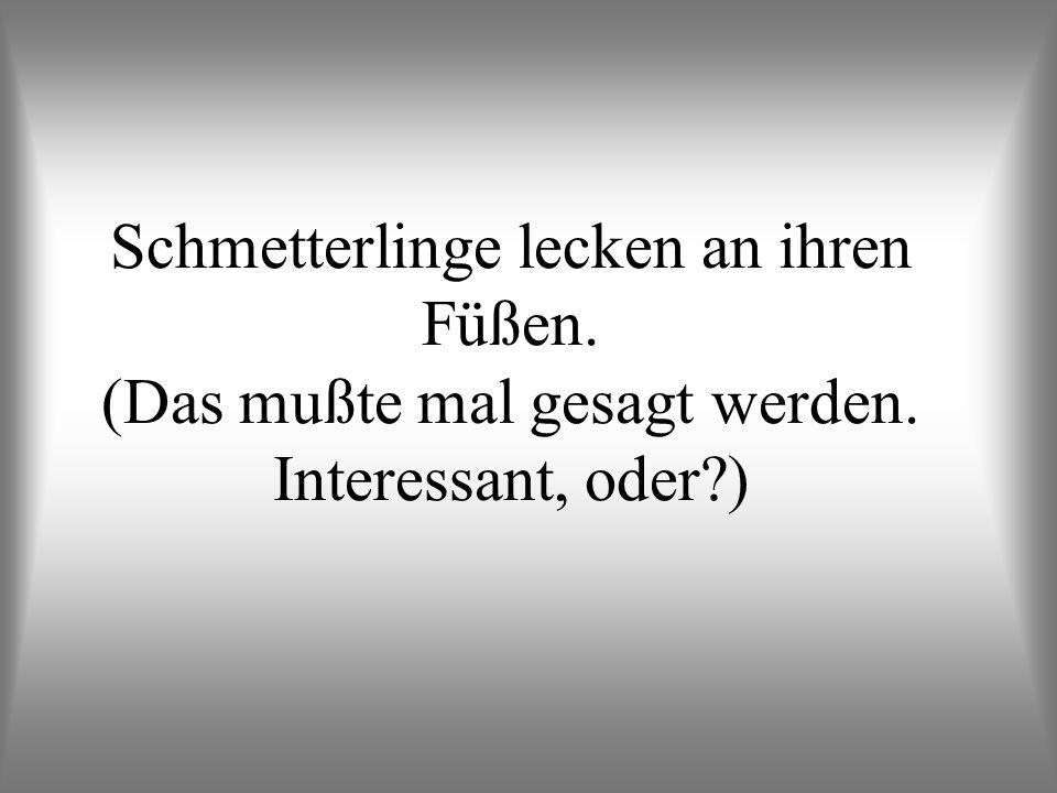 Schmetterlinge lecken an ihren Füßen. (Das mußte mal gesagt werden