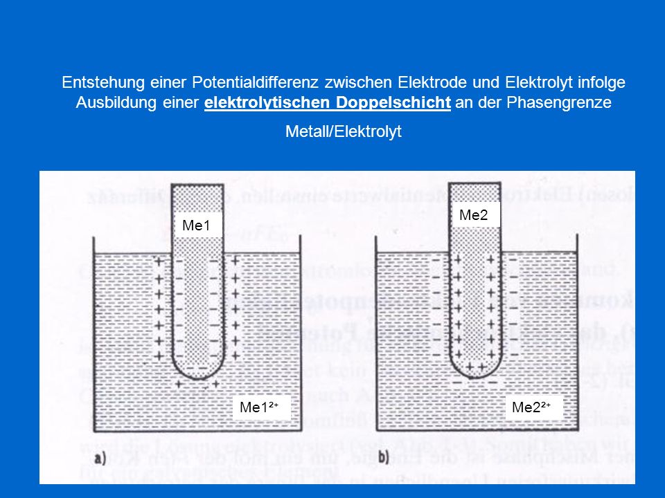 Entstehung einer Potentialdifferenz zwischen Elektrode und Elektrolyt infolge Ausbildung einer elektrolytischen Doppelschicht an der Phasengrenze Metall/Elektrolyt