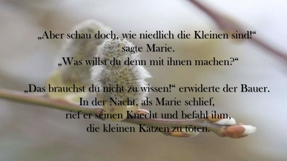 „Aber schau doch, wie niedlich die Kleinen sind! sagte Marie.