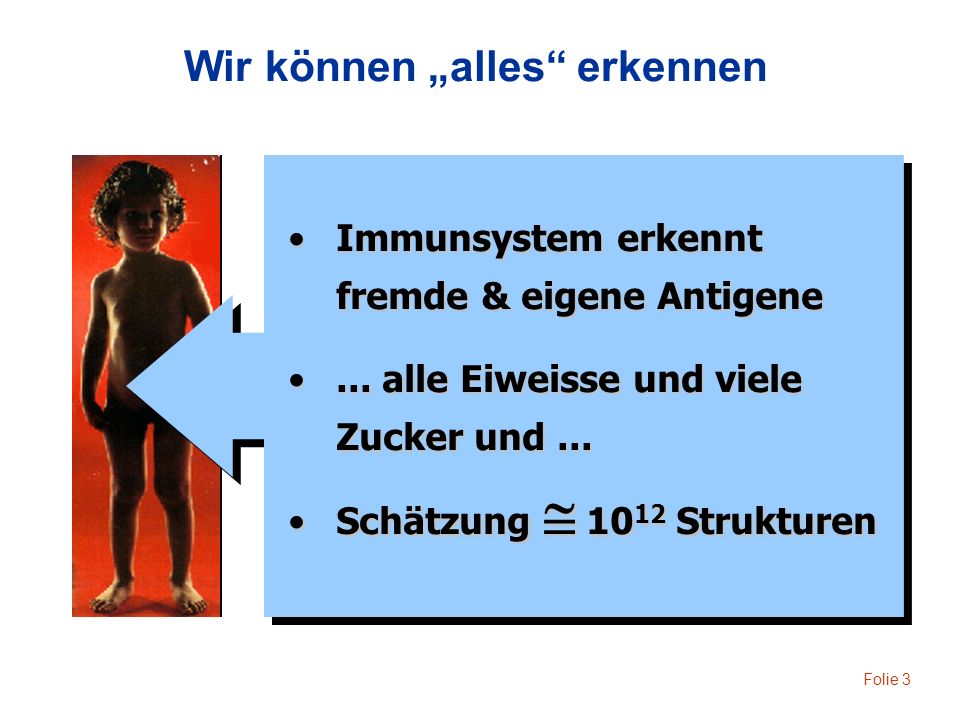 Wir können „alles erkennen